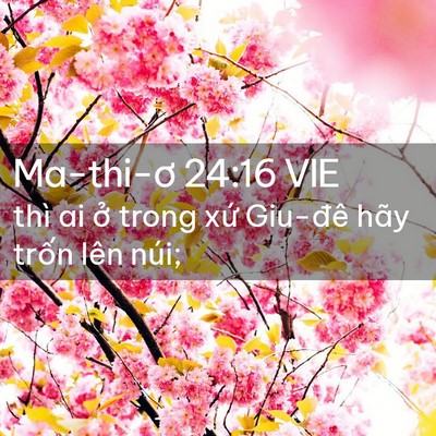 Picture 02 - Ma-thi-ơ 24:16 VIE - thì ai ở trong xứ Giu-đê hãy trốn lên - Bible Verse Picture