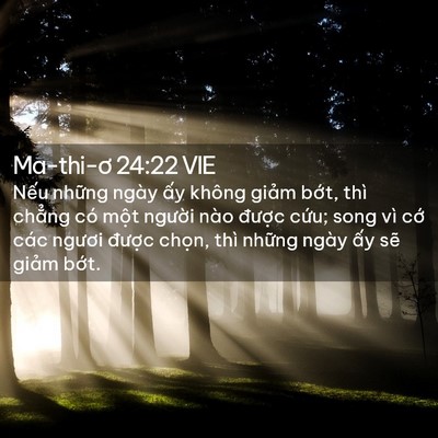 Picture 02 - Ma-thi-ơ 24:22 VIE - Nếu những ngày ấy không giảm bớt, - Bible Verse Picture