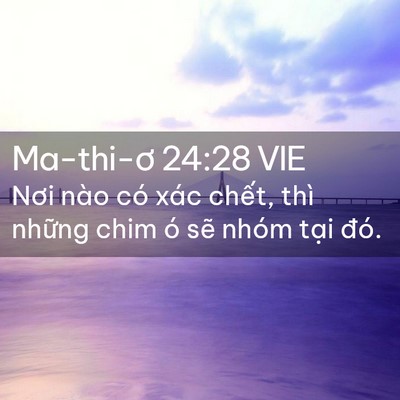Picture 02 - Ma-thi-ơ 24:28 VIE - Nơi nào có xác chết, thì những chim ó - Bible Verse Picture