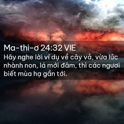 Picture 02 - Ma-thi-ơ 24:32 VIE - Hãy nghe lời ví dụ về cây vả, vừa - Bible Verse Picture