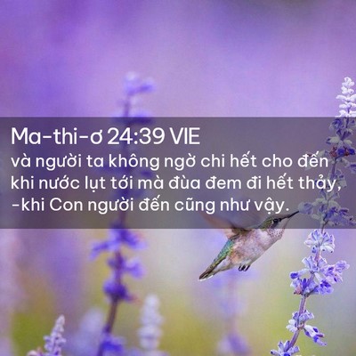 Picture 02 - Ma-thi-ơ 24:39 VIE - và người ta không ngờ chi hết cho đến - Bible Verse Picture