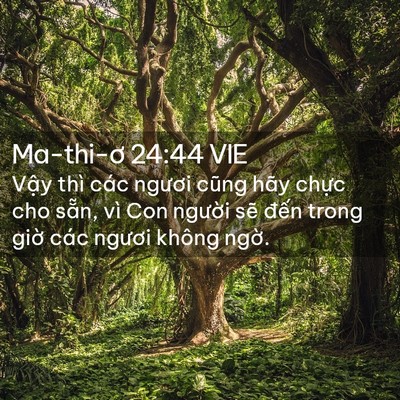 Picture 02 - Ma-thi-ơ 24:44 VIE - Vậy thì các ngươi cũng hãy chực cho - Bible Verse Picture