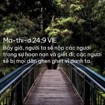 Picture 02 - Ma-thi-ơ 24:9 VIE - Bấy giờ, người ta sẽ nộp các ngươi - Bible Verse Picture