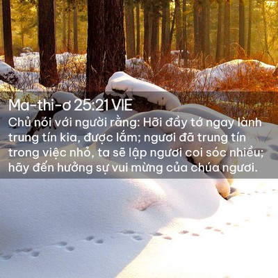 Picture 02 - Ma-thi-ơ 25:21 VIE - Chủ nói với người rằng: Hỡi đầy - Bible Verse Picture