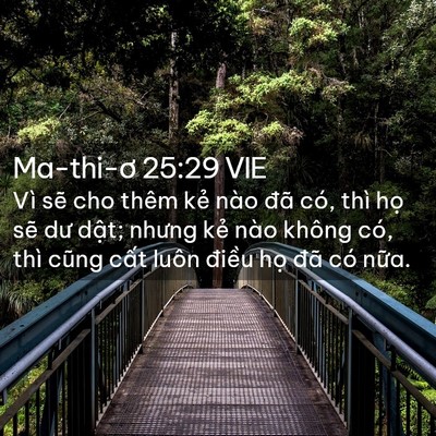 Picture 02 - Ma-thi-ơ 25:29 VIE - Vì sẽ cho thêm kẻ nào đã có, thì họ - Bible Verse Picture
