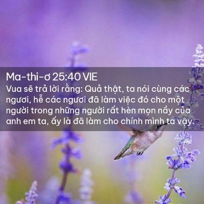 Picture 02 - Ma-thi-ơ 25:40 VIE - Vua sẽ trả lời rằng: Quả thật, ta - Bible Verse Picture