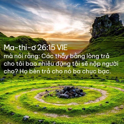 Picture 02 - Ma-thi-ơ 26:15 VIE - mà nói rằng: Các thầy bằng lòng trả - Bible Verse Picture
