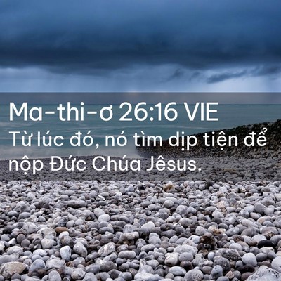 Picture 02 - Ma-thi-ơ 26:16 VIE - Từ lúc đó, nó tìm dịp tiện để nộp - Bible Verse Picture