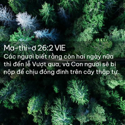 Picture 02 - Ma-thi-ơ 26:2 VIE - Các ngươi biết rằng còn hai ngày nữa - Bible Verse Picture