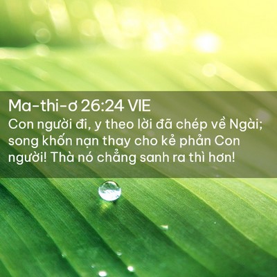 Picture 02 - Ma-thi-ơ 26:24 VIE - Con người đi, y theo lời đã chép về - Bible Verse Picture
