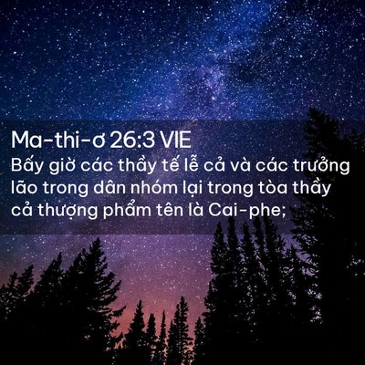 Picture 02 - Ma-thi-ơ 26:3 VIE - Bấy giờ các thầy tế lễ cả và các - Bible Verse Picture