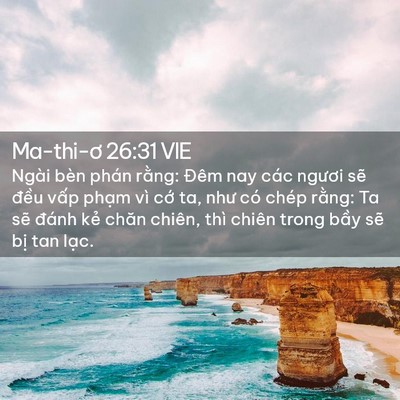 Picture 02 - Ma-thi-ơ 26:31 VIE - Ngài bèn phán rằng: Đêm nay các ngươi - Bible Verse Picture