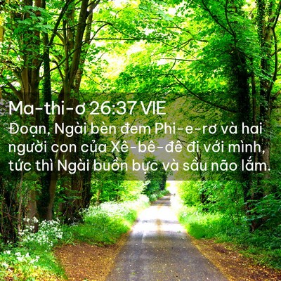 Picture 02 - Ma-thi-ơ 26:37 VIE - Đoạn, Ngài bèn đem Phi-e-rơ và hai - Bible Verse Picture