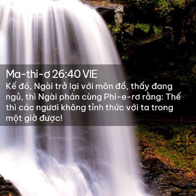 Picture 02 - Ma-thi-ơ 26:40 VIE - Kế đó, Ngài trở lại với môn đồ, - Bible Verse Picture