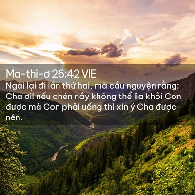 Picture 02 - Ma-thi-ơ 26:42 VIE - Ngài lại đi lần thứ hai, mà cầu - Bible Verse Picture