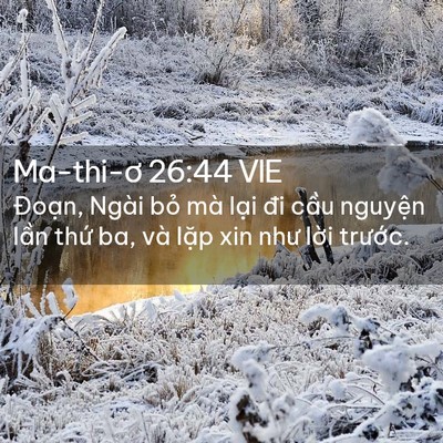 Picture 02 - Ma-thi-ơ 26:44 VIE - Đoạn, Ngài bỏ mà lại đi cầu nguyện - Bible Verse Picture