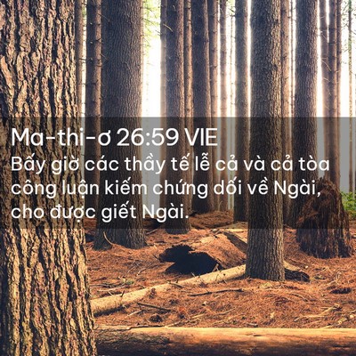Picture 02 - Ma-thi-ơ 26:59 VIE - Bấy giờ các thầy tế lễ cả và cả - Bible Verse Picture