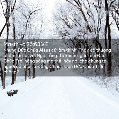 Picture 02 - Ma-thi-ơ 26:63 VIE - Nhưng Đức Chúa Jêsus cứ làm thinh. - Bible Verse Picture
