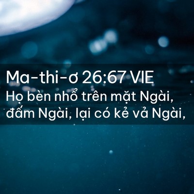 Picture 02 - Ma-thi-ơ 26:67 VIE - Họ bèn nhổ trên mặt Ngài, đấm Ngài, - Bible Verse Picture
