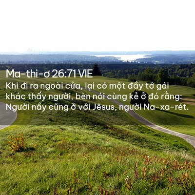 Picture 02 - Ma-thi-ơ 26:71 VIE - Khi đi ra ngoài cửa, lại có một đầy - Bible Verse Picture