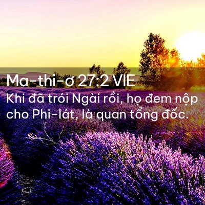 Picture 02 - Ma-thi-ơ 27:2 VIE - Khi đã trói Ngài rồi, họ đem nộp cho - Bible Verse Picture