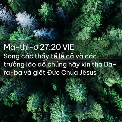 Picture 02 - Ma-thi-ơ 27:20 VIE - Song các thầy tế lễ cả và các - Bible Verse Picture