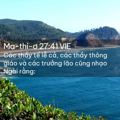 Picture 02 - Ma-thi-ơ 27:41 VIE - Các thầy tế lễ cả, các thầy thông - Bible Verse Picture