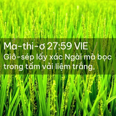 Picture 02 - Ma-thi-ơ 27:59 VIE - Giô-sép lấy xác Ngài mà bọc trong tấm - Bible Verse Picture