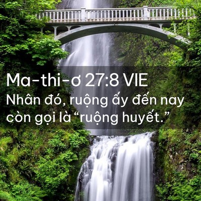 Picture 02 - Ma-thi-ơ 27:8 VIE - Nhân đó, ruộng ấy đến nay còn gọi - Bible Verse Picture