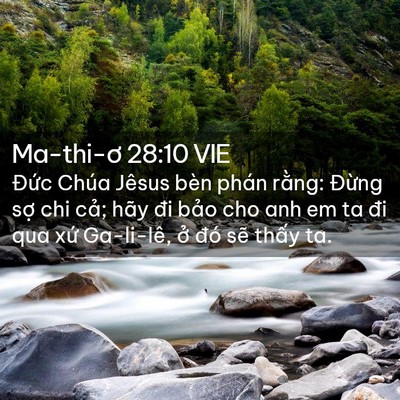 Picture 02 - Ma-thi-ơ 28:10 VIE - Đức Chúa Jêsus bèn phán rằng: Đừng - Bible Verse Picture