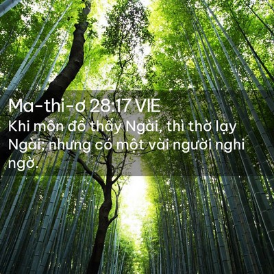 Picture 02 - Ma-thi-ơ 28:17 VIE - Khi môn đồ thấy Ngài, thì thờ lạy - Bible Verse Picture