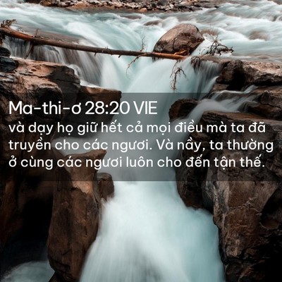 Picture 02 - Ma-thi-ơ 28:20 VIE - và dạy họ giữ hết cả mọi điều mà - Bible Verse Picture