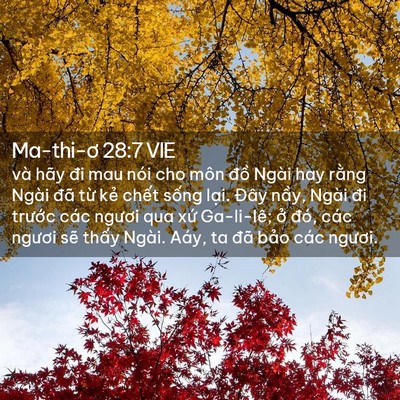 Picture 02 - Ma-thi-ơ 28:7 VIE - và hãy đi mau nói cho môn đồ Ngài hay - Bible Verse Picture
