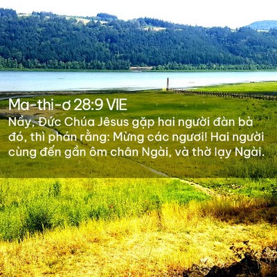Picture 02 - Ma-thi-ơ 28:9 VIE - Nầy, Đức Chúa Jêsus gặp hai người - Bible Verse Picture