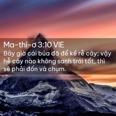 Picture 02 - Ma-thi-ơ 3:10 VIE - Bây giờ cái búa đã để kề rễ cây; - Bible Verse Picture