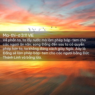 Picture 02 - Ma-thi-ơ 3:11 VIE - Về phần ta, ta lấy nước mà làm phép - Bible Verse Picture