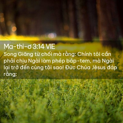 Picture 02 - Ma-thi-ơ 3:14 VIE - Song Giăng từ chối mà rằng: Chính tôi - Bible Verse Picture