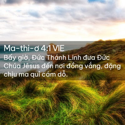 Picture 02 - Ma-thi-ơ 4:1 VIE - Bấy giờ, Đức Thánh Linh đưa Đức - Bible Verse Picture