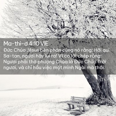 Picture 02 - Ma-thi-ơ 4:10 VIE - Đức Chúa Jêsus bèn phán cùng nó rằng: - Bible Verse Picture