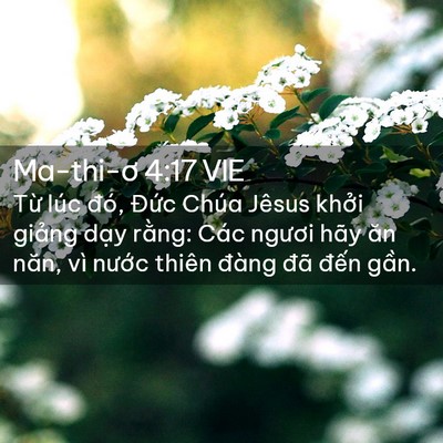 Picture 02 - Ma-thi-ơ 4:17 VIE - Từ lúc đó, Đức Chúa Jêsus khởi - Bible Verse Picture