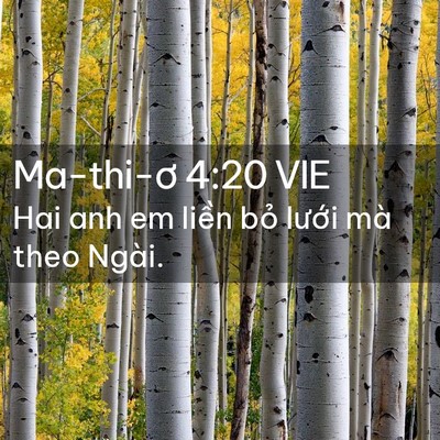 Picture 02 - Ma-thi-ơ 4:20 VIE - Hai anh em liền bỏ lưới mà theo - Bible Verse Picture