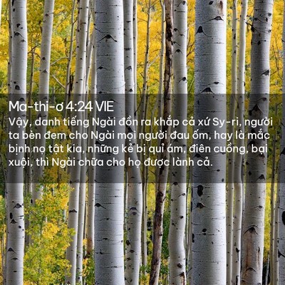 Picture 02 - Ma-thi-ơ 4:24 VIE - Vậy, danh tiếng Ngài đồn ra khắp cả - Bible Verse Picture