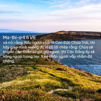 Picture 02 - Ma-thi-ơ 4:6 VIE - và nói rằng: Nếu ngươi phải là Con - Bible Verse Picture