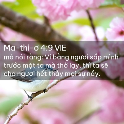 Picture 02 - Ma-thi-ơ 4:9 VIE - mà nói rằng: Ví bằng ngươi sấp mình - Bible Verse Picture