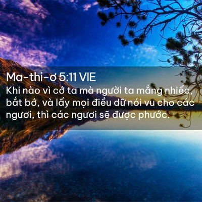 Picture 02 - Ma-thi-ơ 5:11 VIE - Khi nào vì cớ ta mà người ta mắng - Bible Verse Picture