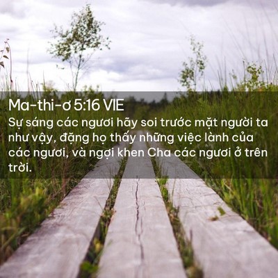 Picture 02 - Ma-thi-ơ 5:16 VIE - Sự sáng các ngươi hãy soi trước mặt - Bible Verse Picture