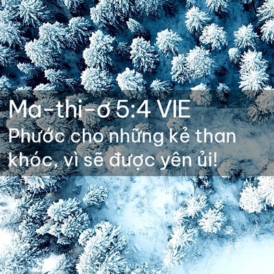 Picture 02 - Ma-thi-ơ 5:4 VIE - Phước cho những kẻ than khóc, vì sẽ - Bible Verse Picture