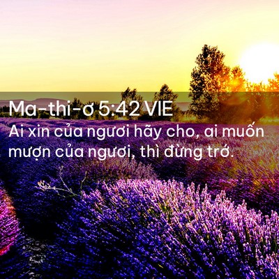 Picture 02 - Ma-thi-ơ 5:42 VIE - Ai xin của ngươi hãy cho, ai muốn mượn - Bible Verse Picture