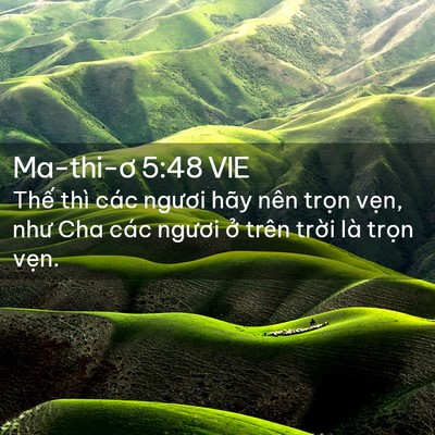 Picture 02 - Ma-thi-ơ 5:48 VIE - Thế thì các ngươi hãy nên trọn vẹn, - Bible Verse Picture