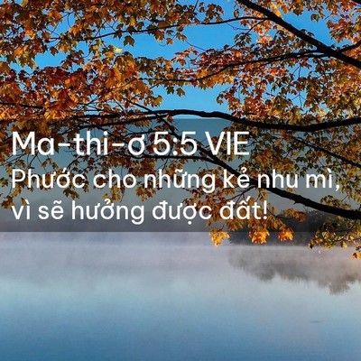 Picture 02 - Ma-thi-ơ 5:5 VIE - Phước cho những kẻ nhu mì, vì sẽ - Bible Verse Picture